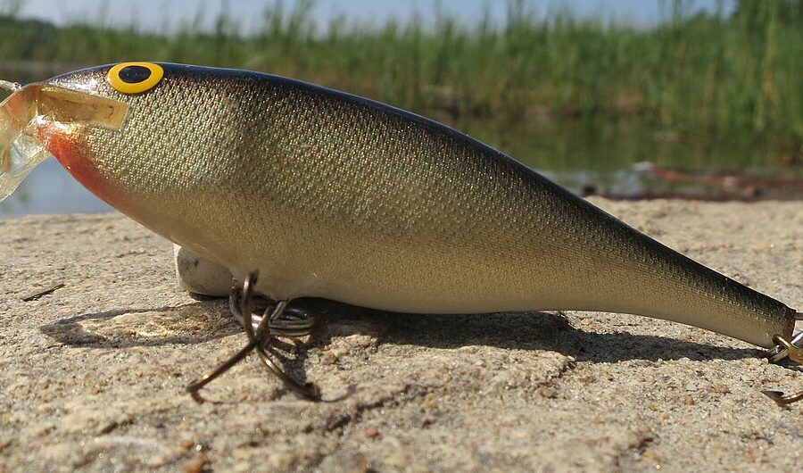 [Mẫu] Mồi cá giả minnow nổi 9cm